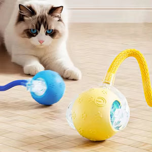 Pelota Interactiva Para Mascotas